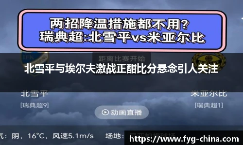 智博19有限公司